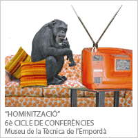 Hominització MTE